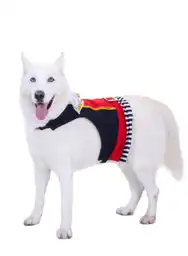 Disfraz Mascota Pirata Surtido Talla L-XL