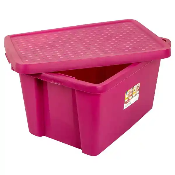 Curver Caja Organizadora Essentials Púrpura 225416