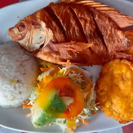 Mojarra