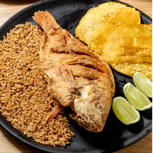 Mojarra broaster