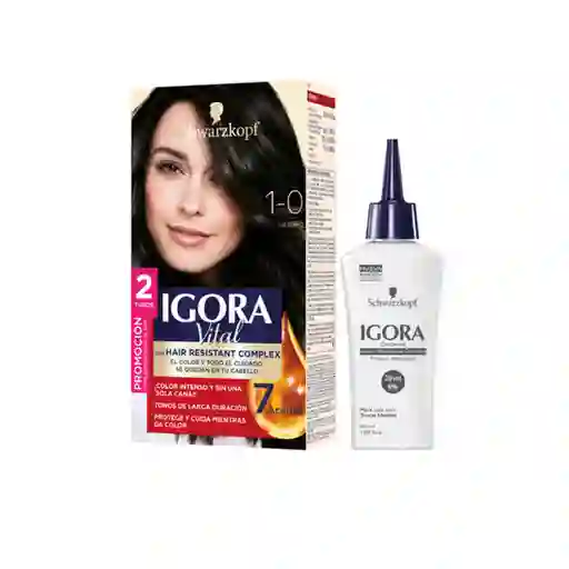 Tinte Igora Vital 1-0 Negro + Oxigenta Gratis