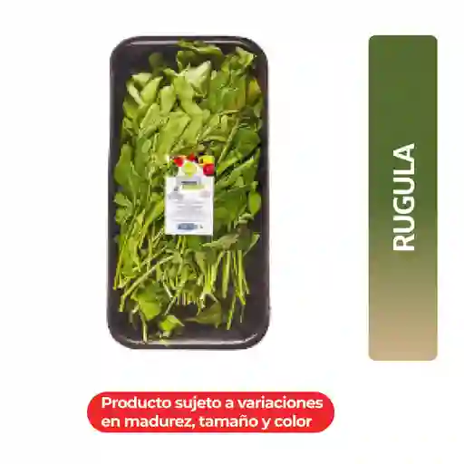 Taeq Lechuga Rugula Ecológica