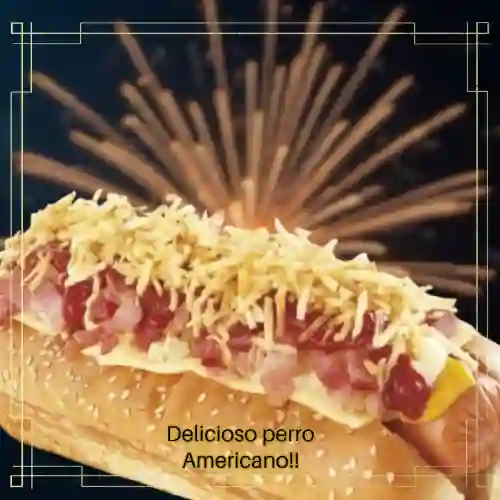 Perro Americano