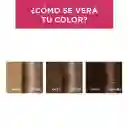 Loreal Paris-Excellence Tinte