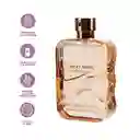 Perfume Para Hombre Sunset Amber Miniso