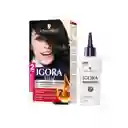 Tinte Igora Vital 1-1 Negro Azul + Oxigenta Gratis