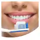 Colgate Crema Dental Total 12 Encías Reforzadas 