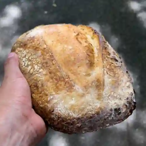 Sourdough