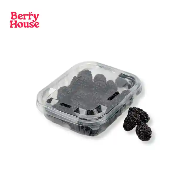 Berry House Zarzamora Premium