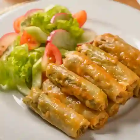 Hojas de repollo