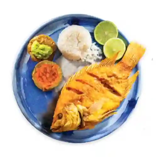 Mojarra Frita