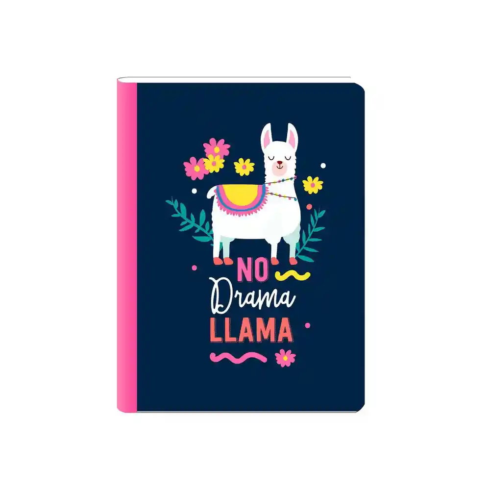 Cuaderno Cosido 100 Hojas Rayado Grande Finlandek