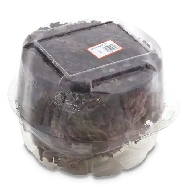 Lechuga Morada Pet