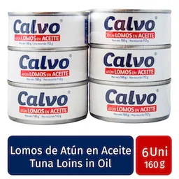 Calvo Atún Lomos en Aceite