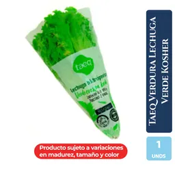 Taeq Verdura Lechuga Verde Kosher