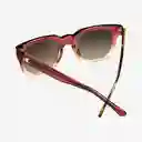 Knockaround Gafas Songbirds Rojo