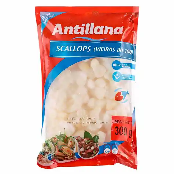 Antillana Scallop