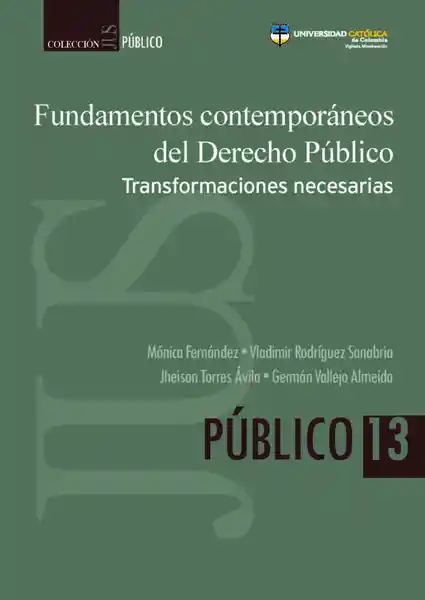 Fundamentos Contemporáneos Del Derecho Público - VV.AA