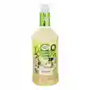 Master Of Mixes Base para Coctel Mixer de Margarita Handcrafted