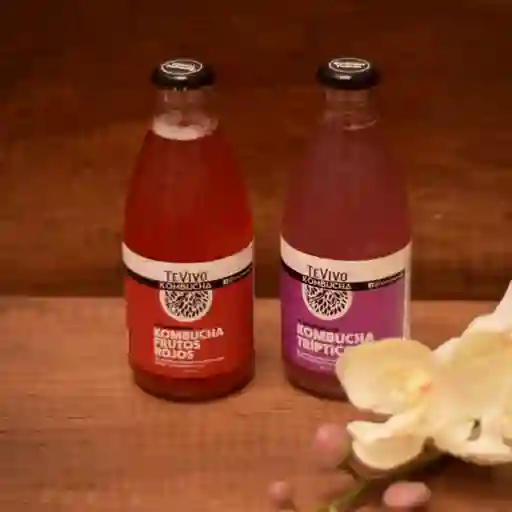 Kombucha tevivo