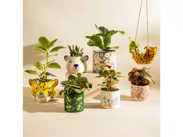 Maceta Ceram Print 20 x 18 Casaideas