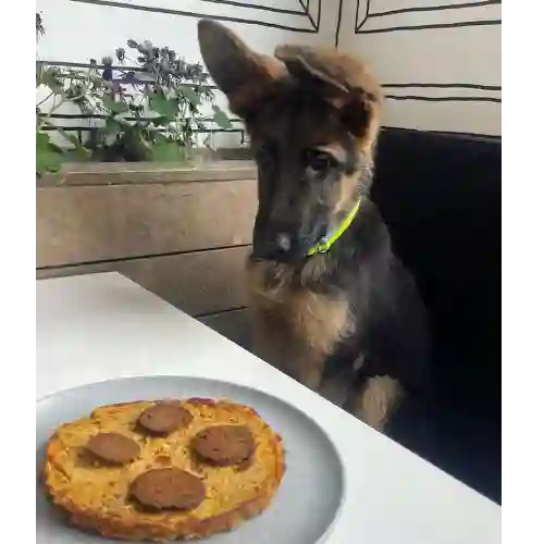 Pizza para Perro