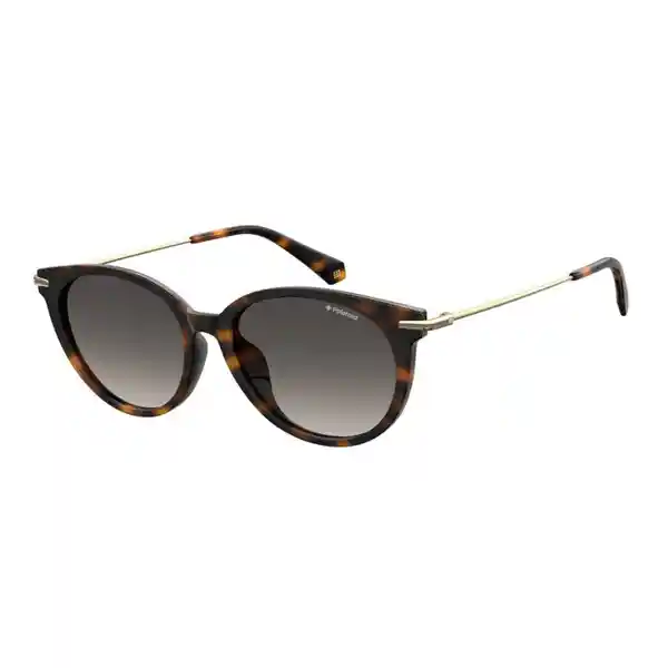 Polaroid Gafas Havana Mujer Pld4084/F/S-202501-086-17-Lb-54