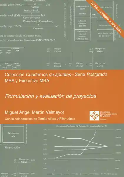 Formulación Y Evaluación De Proyectos