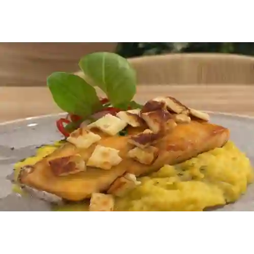Pesca Del Dia