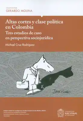 Altas Cortes y Clase Política en Colombia - Michael Cruz