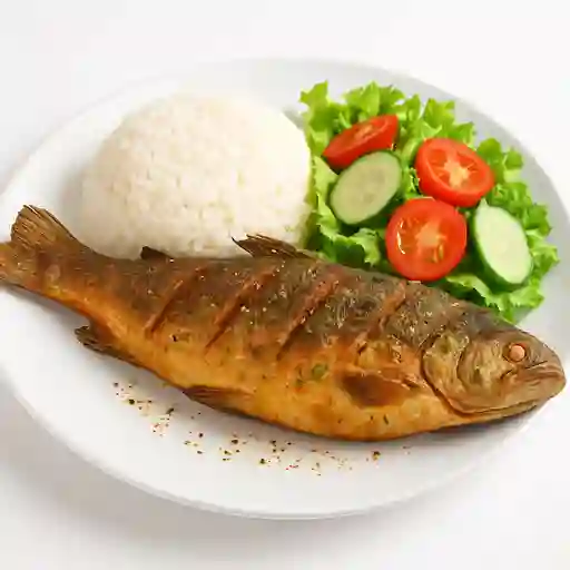 Pesca de Invierno