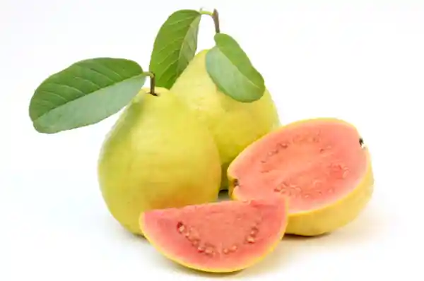 Guayaba