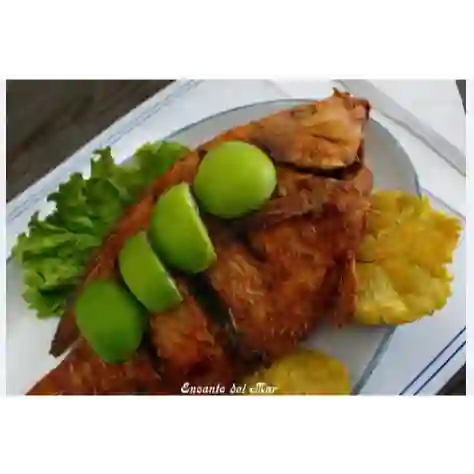 Mojarra Frita de 500 Gr+ Limonada