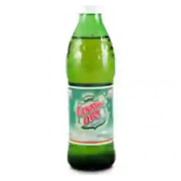 Ginger Ale - Canada Dry 300 ml