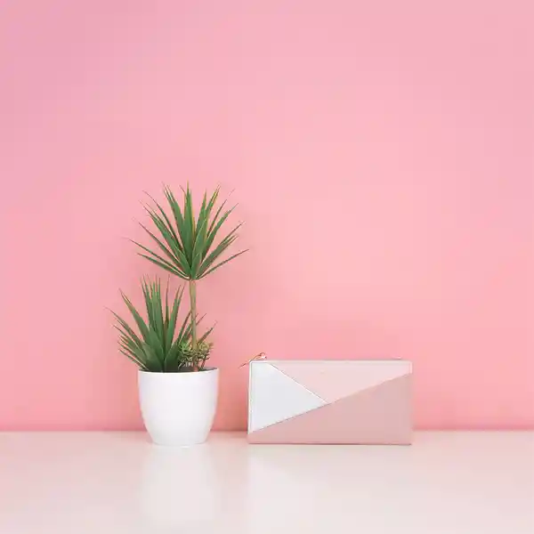 Cartera Para Mujer Larga Bloques Geométricos Rosa Miniso