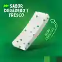 Trident Chicle Yerbabuena Sin Azúcar