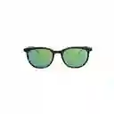 Invicta Gafas Eyewear Unisex Marrón 6983-Pro-5811