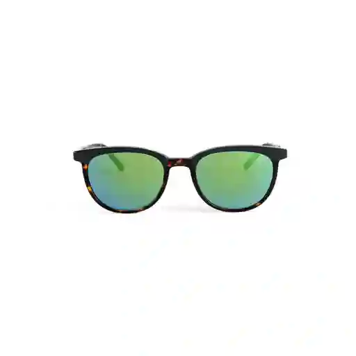 Invicta Gafas Eyewear Unisex Marrón 6983-Pro-5811