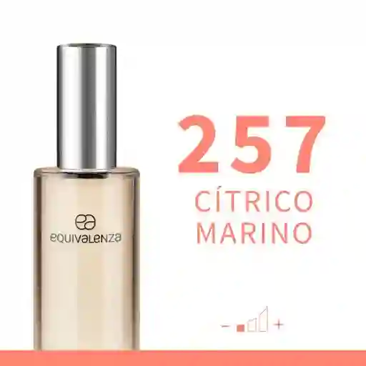 Equivalenza Perfume Cítrico Marino 257