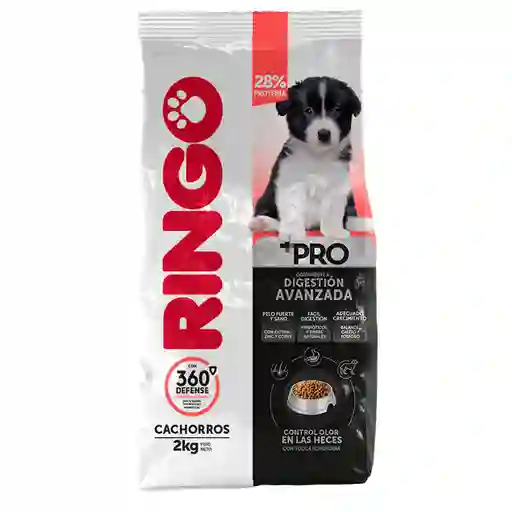 Ringo + Pro - Alimento Seco Para Cachorros 2kg