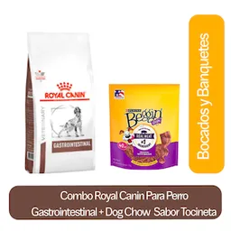 Combo Royal Canin Perro Gastrointestinal + Dog Chow Tocineta