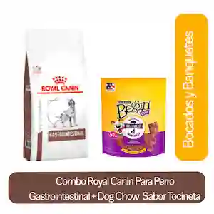 Combo Royal Canin Perro Gastrointestinal + Dog Chow Tocineta