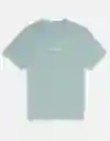 Camiseta Hombre Azul Talla MEDIUM 4290395 American Eagle