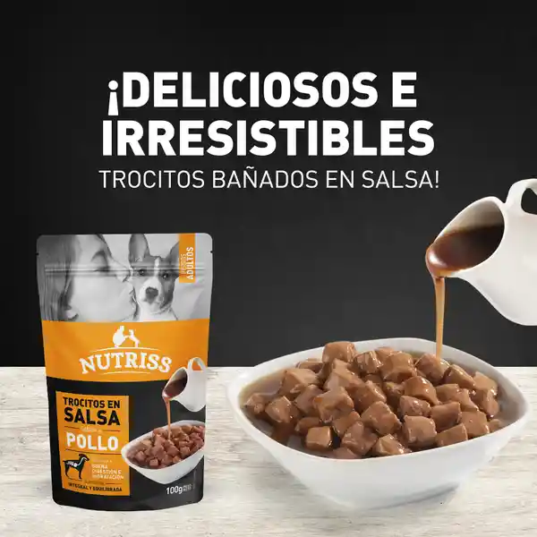 Nutriss Alimento Adulto Salsa / Pollo