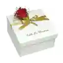 Caja 6 Fresas Tradicional Blanca