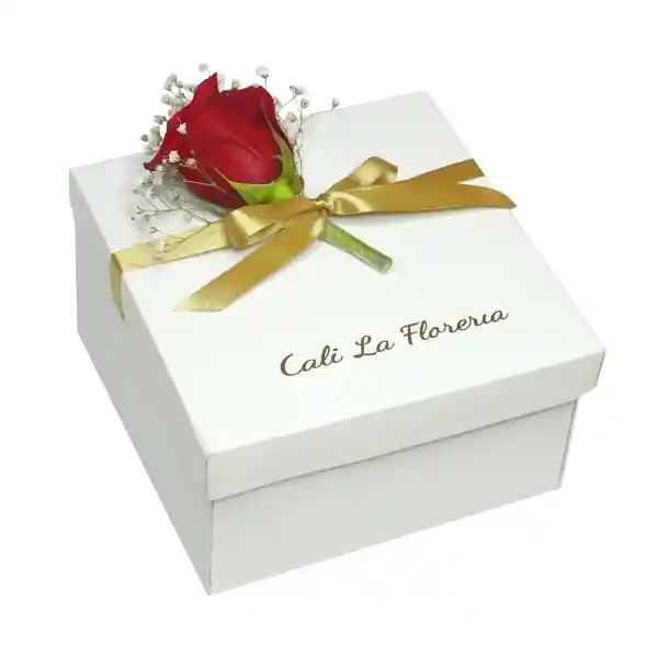 Caja 6 Fresas Tradicional Blanca