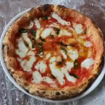 Margherita 20 Cm