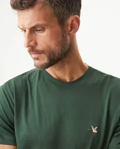 Camiseta Básica Verde Cordillera Ultraoscuro M Chevignon