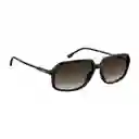 Gafas Unisex Marrón 202715R6060HA Carrera