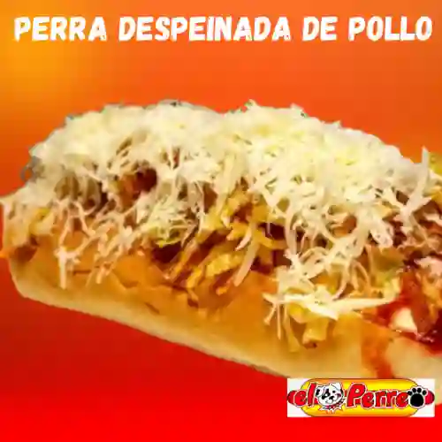 Perra Despeinada de Pollo